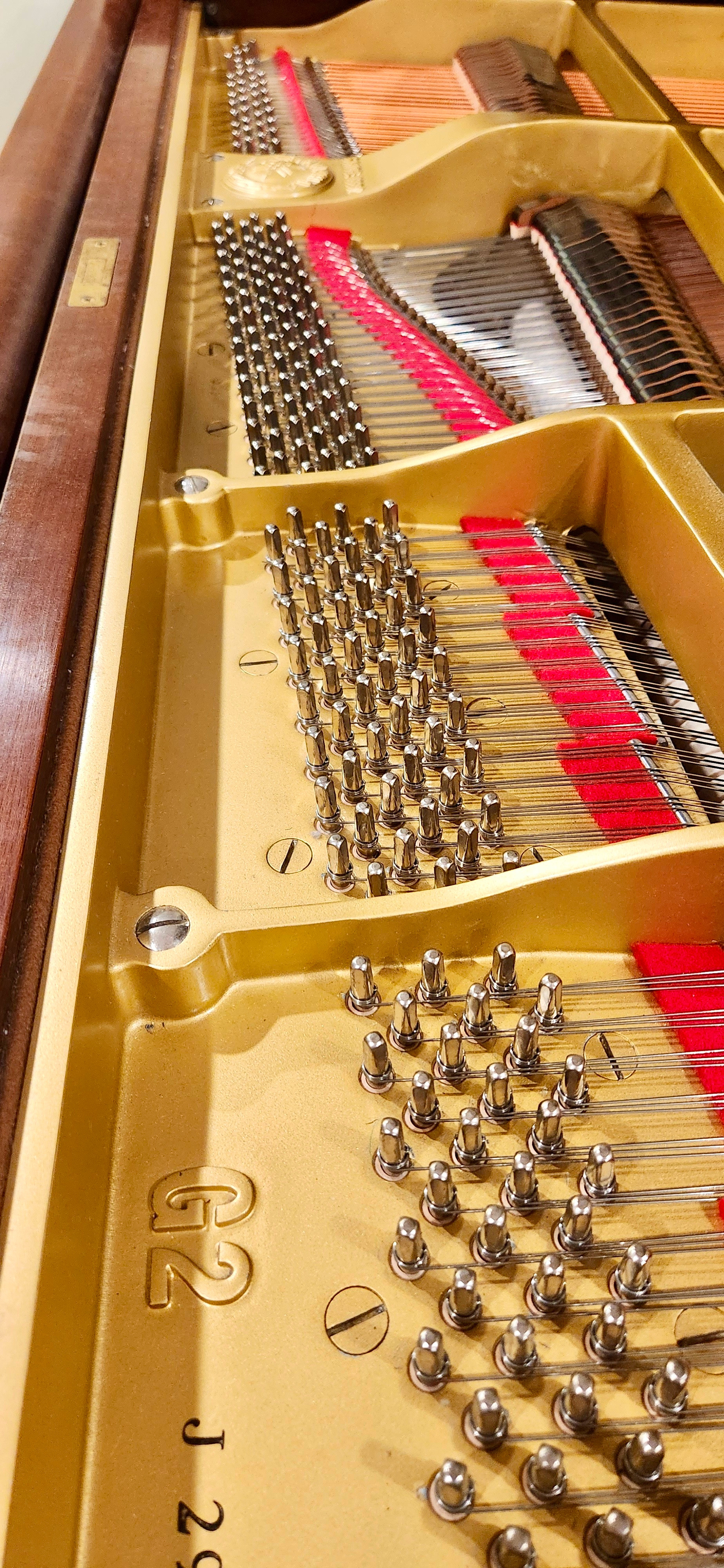 The tuning pins of a piano